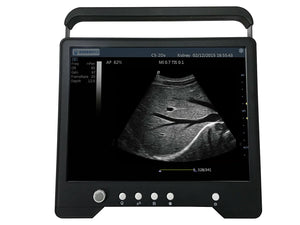 
                  
                    Veterinary Large & Small Animal Touch Screen Ultrasound with 3 Probes | KeeboMed
                  
                