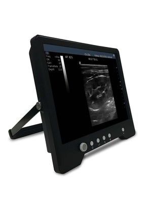 
                  
                    Veterinary Touch Screen Ultrasound with Rectal Probe for Large Animals, KeeboMed
                  
                