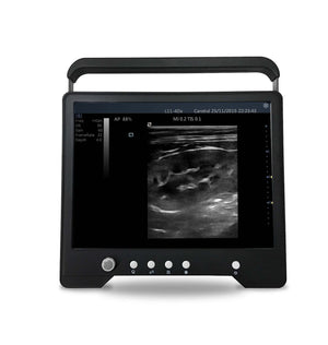 
                  
                    Veterinary TouchScreen Ultrasound&Micro-Convex Probe for Small Animals, KeeboMed
                  
                