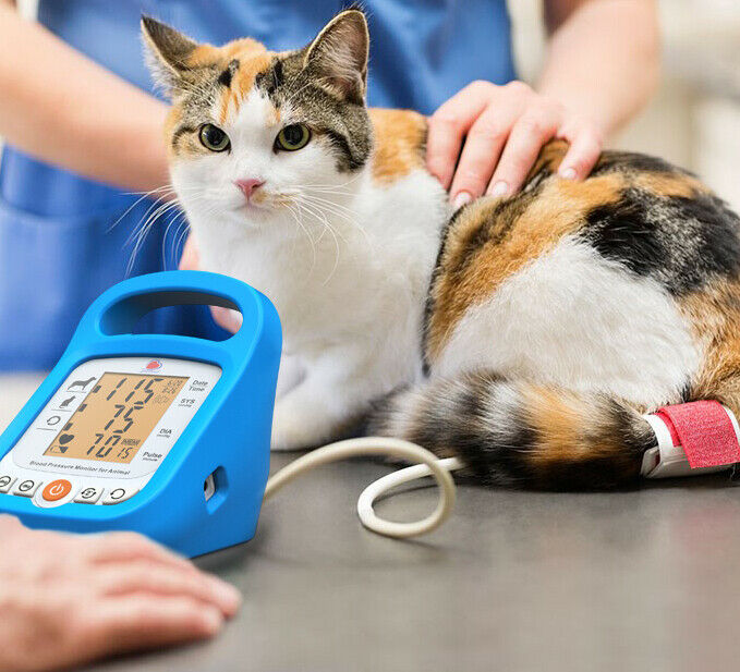 
                  
                    Accurate and Reliable Veterinary Pet Blood Pressure Monitor Sphygmomanometer
                  
                