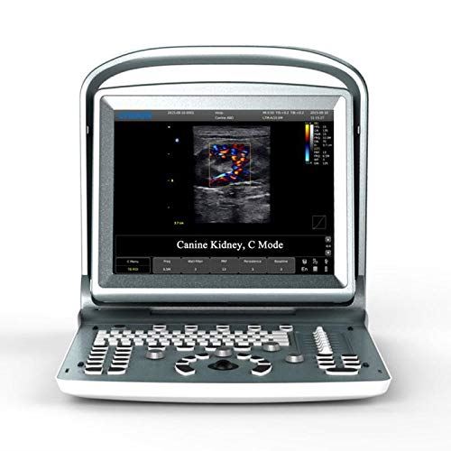 
                  
                    Chison ECO 5 Vet Veterinary Ultrasound Machine with One Probe at Choice
                  
                