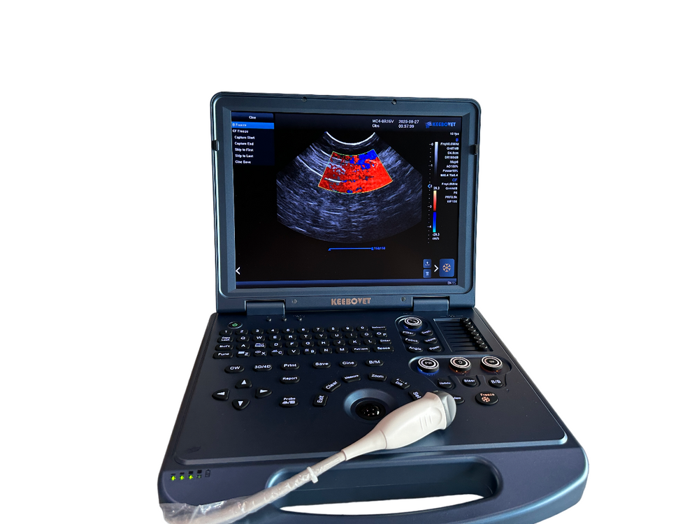 Flexible Orthopedic Drill Bit – KeeboVet Veterinary Ultrasound Equipment