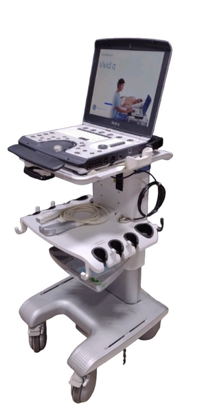 
                  
                    GE VIVID Q PORTABLE ULTRASOUND MACHINE WITH CART 2012 BT12 VERSION
                  
                